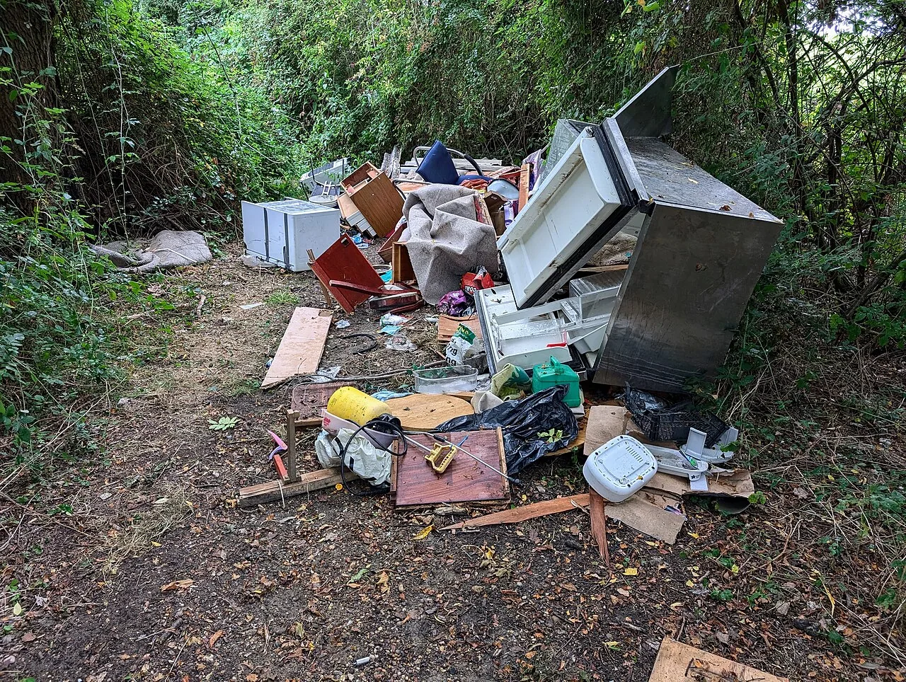 Dumped furniture, appliances and rubbish beside a woodland track